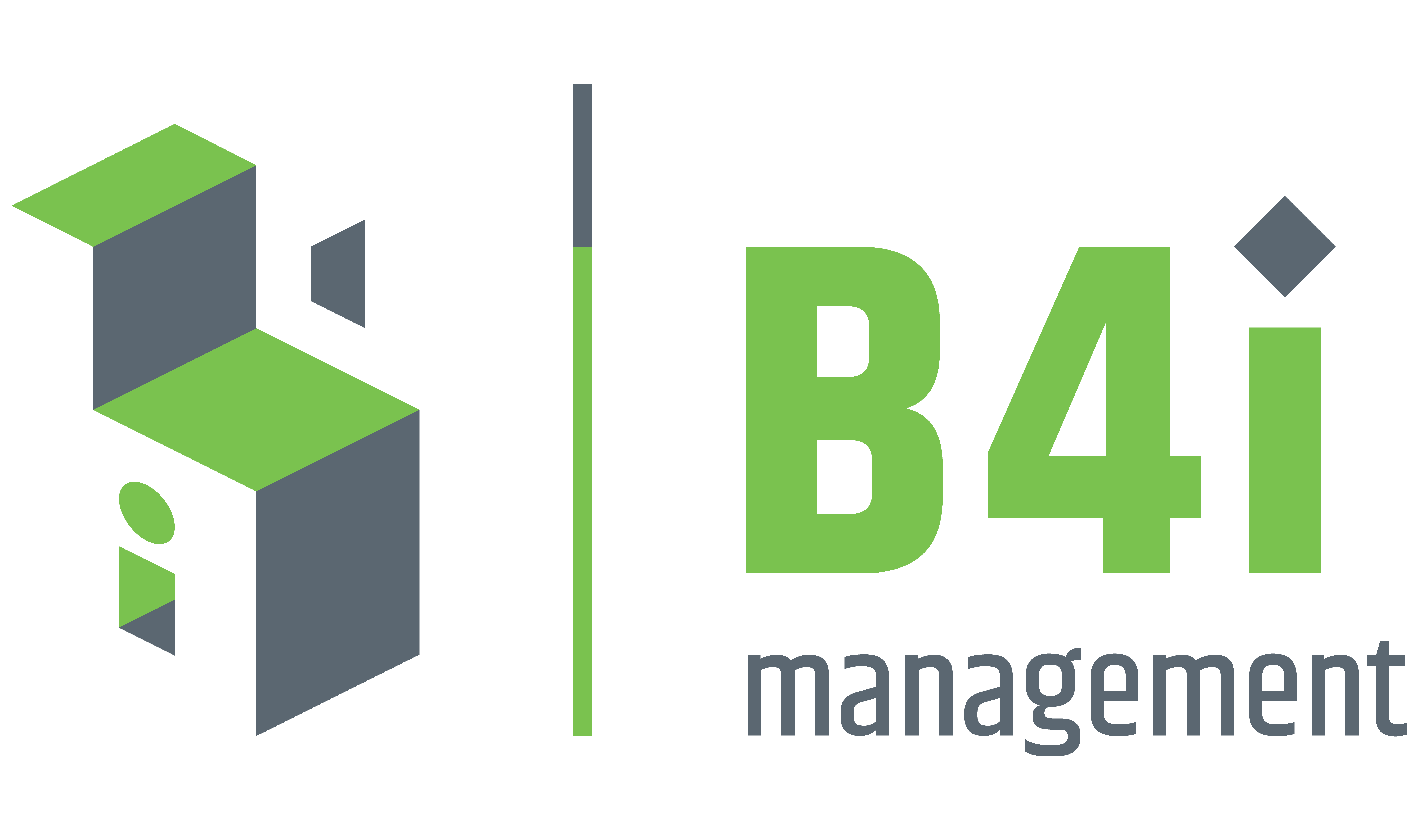 B41 Management